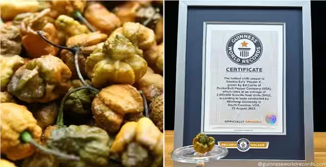 ‘Pepper X’ breaks world record for the world’s hottest chilli pepper